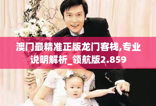 澳门最精准正版龙门客栈,专业说明解析_领航版2.859