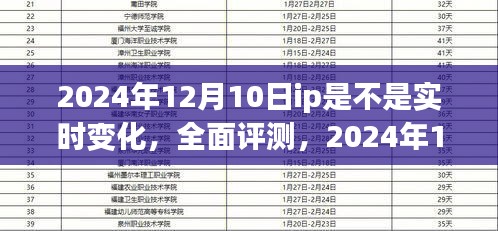 关于IP实时变化特性及用户体验的评测，聚焦2024年12月10日的全面分析