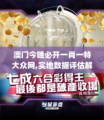 澳门今晚必开一肖一特大众网,实地数据评估解析_1440p6.875