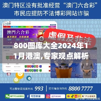 800图库大全2024年11月港澳,专家观点解析_SE版6.860