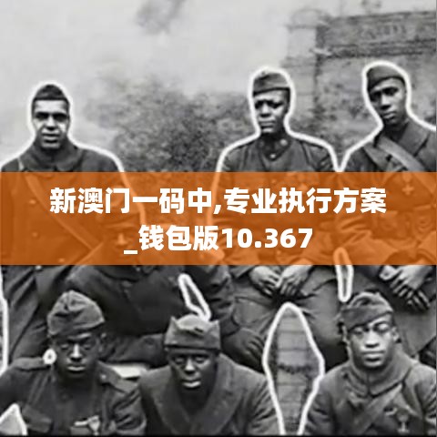 新澳门一码中,专业执行方案_钱包版10.367