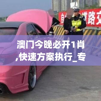 澳门今晚必开1肖,快速方案执行_专业款13.690