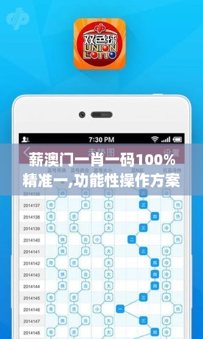 薪澳门一肖一码100%精准一,功能性操作方案制定_铂金版10.927