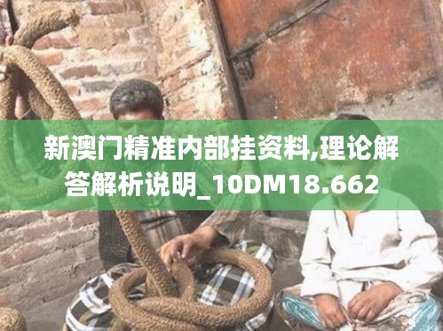 新澳门精准内部挂资料,理论解答解析说明_10DM18.662