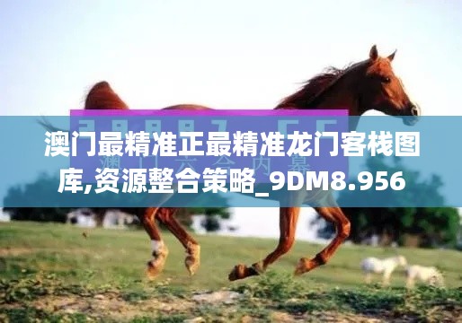 澳门最精准正最精准龙门客栈图库,资源整合策略_9DM8.956