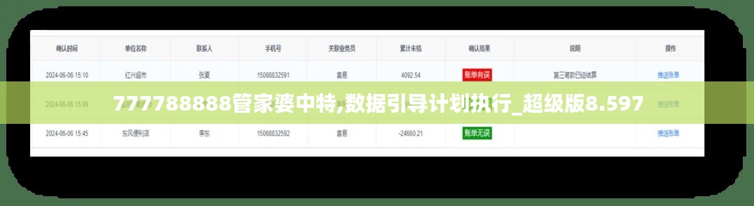 777788888管家婆中特,数据引导计划执行_超级版8.597