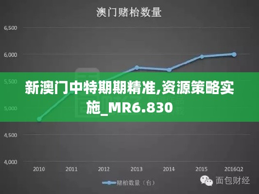 新澳门中特期期精准,资源策略实施_MR6.830