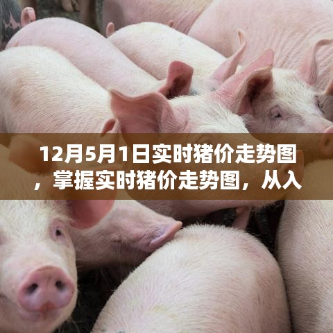九死一生 第4页