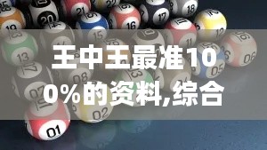 王中王最准100%的资料,综合解答解释定义_豪华版8.233