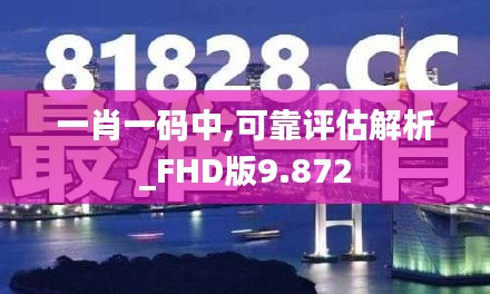 一肖一码中,可靠评估解析_FHD版9.872