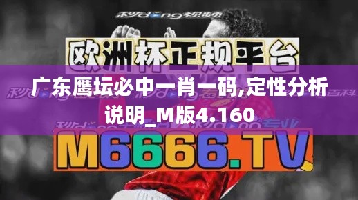 广东鹰坛必中一肖一码,定性分析说明_M版4.160