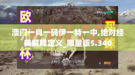 澳门一肖一码伊一特一中,绝对经典解释定义_限量版5.340