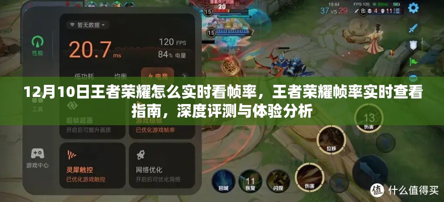 王者荣耀帧率实时查看指南，深度评测与体验分析，助你成为游戏中的佼佼者