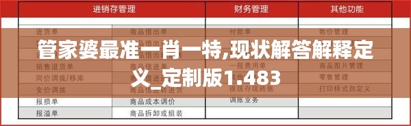 管家婆最准一肖一特,现状解答解释定义_定制版1.483