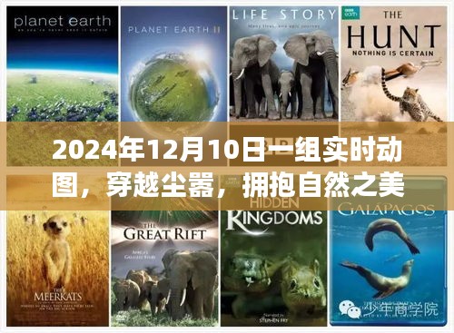 雅量高致 第4页
