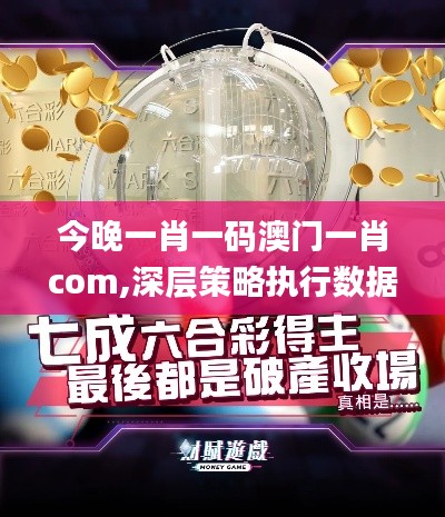 今晚一肖一码澳门一肖com,深层策略执行数据_BT7.762