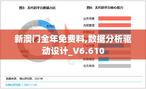 新澳门全年免费料,数据分析驱动设计_V6.610