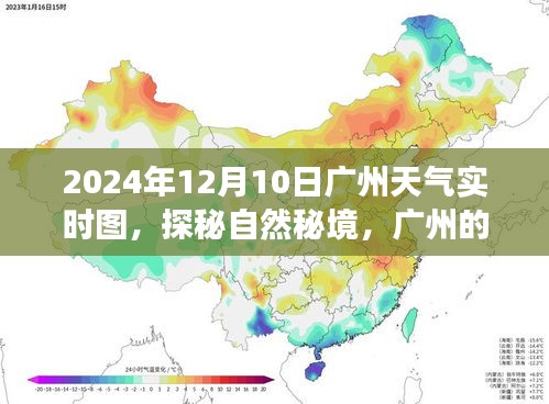 探秘广州自然秘境，揭秘宁静角落的启示录——2024年12月10日广州天气实时图