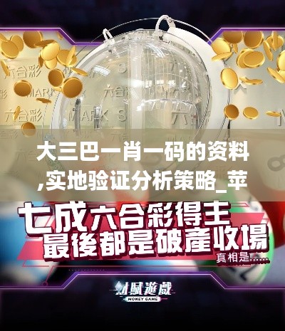 大三巴一肖一码的资料,实地验证分析策略_苹果款1.646