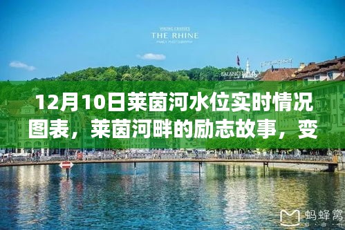 莱茵河水位图表揭示的自信与成就启示，励志故事中的变化与启示