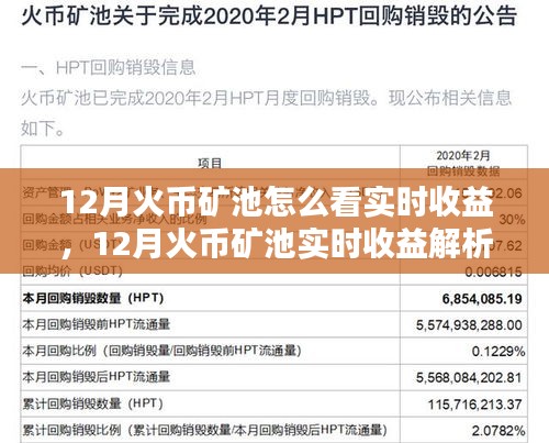 12月火币矿池实时收益解析与入门指南，案例分析助你轻松掌握收益情况
