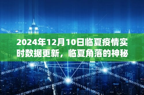 临夏疫情实时数据更新，角落宝藏与小巷特色小店探秘之旅