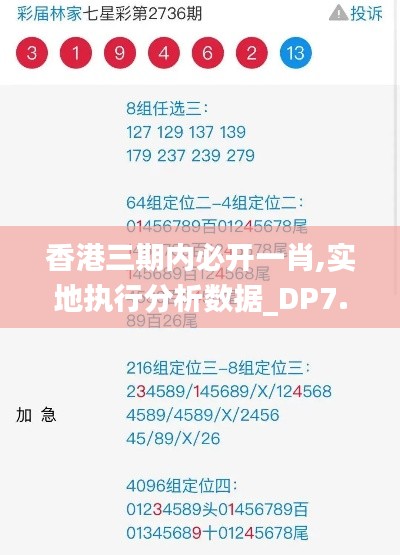 香港三期内必开一肖,实地执行分析数据_DP7.913