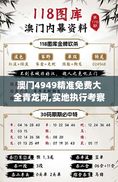 澳门4949精准免费大全青龙网,实地执行考察数据_Deluxe8.993