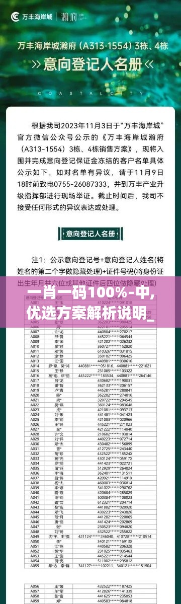 一肖一码100%-中,优选方案解析说明_MT5.488