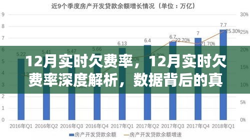 揭秘12月实时欠费率背后的真相与挑战，深度解析与数据透视