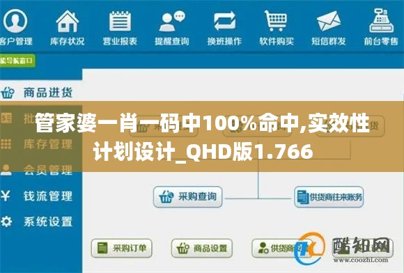 管家婆一肖一码中100%命中,实效性计划设计_QHD版1.766