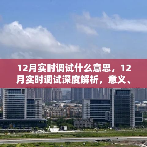 12月实时调试，深度解析其意义、价值与面临的挑战