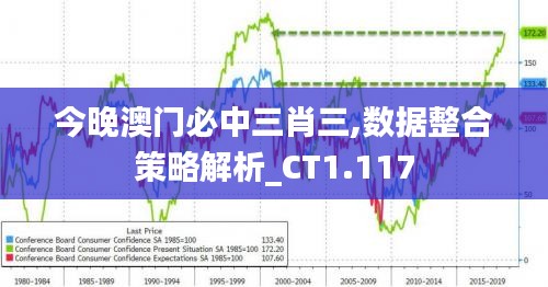 今晚澳门必中三肖三,数据整合策略解析_CT1.117
