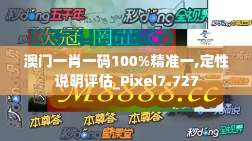 澳门一肖一码100%精准一,定性说明评估_Pixel7.727