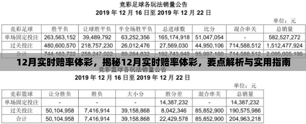 揭秘，体彩实时赔率解析与实用指南（违法犯罪警示）