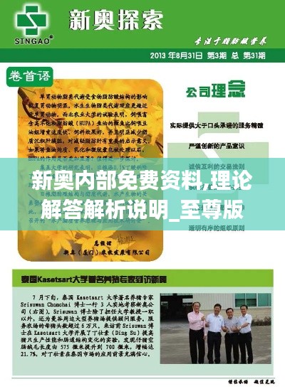 新奥内部免费资料,理论解答解析说明_至尊版4.160