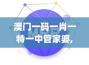 澳门一码一肖一特一中管家婆,灵活设计解析方案_战斗版8.216
