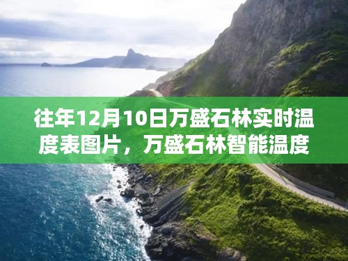 科技揭秘，万盛石林精准实时温度图表展示