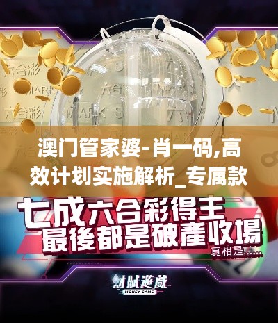 澳门管家婆-肖一码,高效计划实施解析_专属款12.581