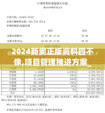 2024新奥正版资料四不像,项目管理推进方案_挑战款16.337
