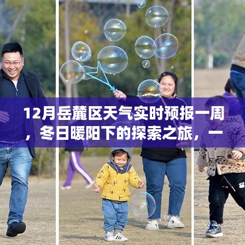 冬日暖阳下的探索之旅，岳麓区天气实时预报及一周展望