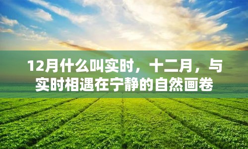 十二月宁静自然画卷中的实时相遇