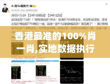 香港最准的100%肖一肖,实地数据执行分析_经典版7.462