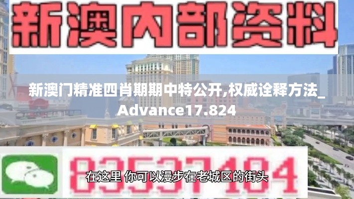 新澳门精准四肖期期中特公开,权威诠释方法_Advance17.824