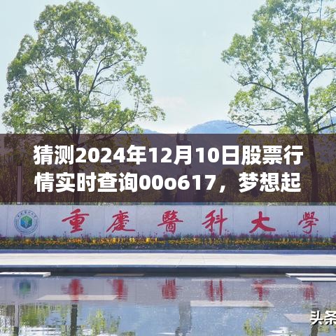 梦想起航，预测股市实时行情，掌握未来股票行情——以2024年12月10日为例