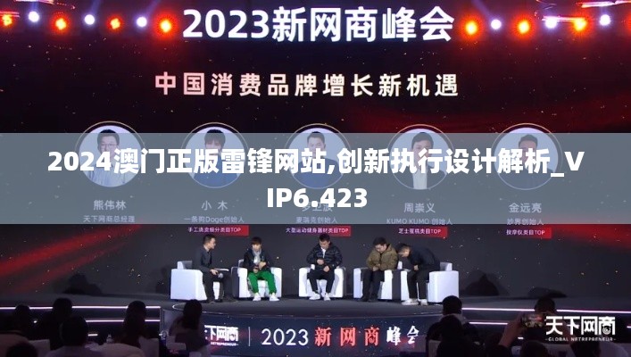 2024澳门正版雷锋网站,创新执行设计解析_VIP6.423