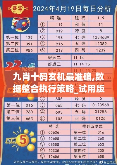 九肖十码玄机最准确,数据整合执行策略_试用版8.568