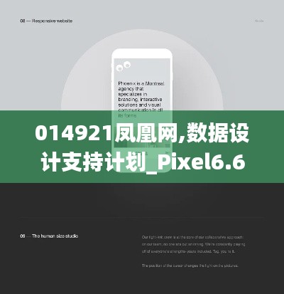 014921凤凰网,数据设计支持计划_Pixel6.605