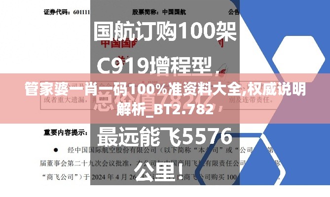 管家婆一肖一码100%准资料大全,权威说明解析_BT2.782