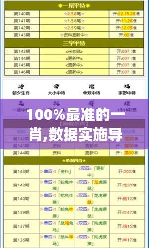 100%最准的一肖,数据实施导向_XR9.997